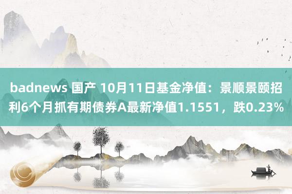badnews 国产 10月11日基金净值：景顺景颐招利6个月抓有期债券A最新净值1.1551，跌0.23%