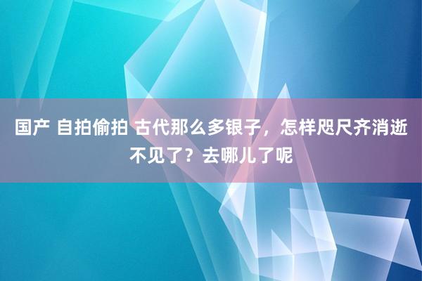 国产 自拍偷拍 古代那么多银子，怎样咫尺齐消逝不见了？去哪儿了呢