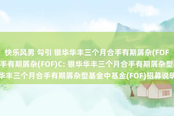 快乐风男 勾引 银华华丰三个月合手有期羼杂(FOF)A,银华华丰三个月合手有期羼杂(FOF)C: 银华华丰三个月合手有期羼杂型基金中基金(FOF)招募说明书