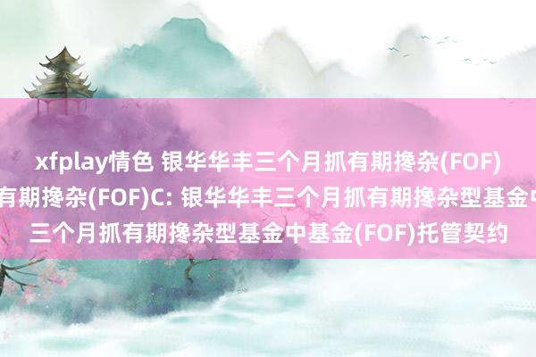 xfplay情色 银华华丰三个月抓有期搀杂(FOF)A,银华华丰三个月抓有期搀杂(FOF)C: 银华华丰三个月抓有期搀杂型基金中基金(FOF)托管契约