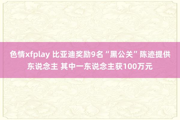 色情xfplay 比亚迪奖励9名“黑公关”陈迹提供东说念主 其中一东说念主获100万元