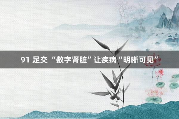 91 足交 “数字肾脏”让疾病“明晰可见”
