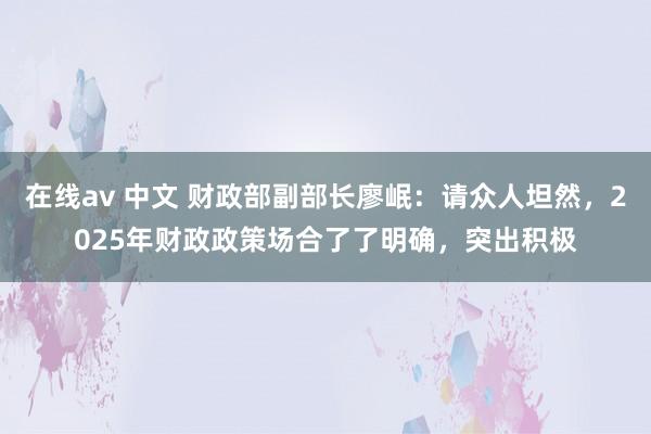 在线av 中文 财政部副部长廖岷：请众人坦然，2025年财政政策场合了了明确，突出积极