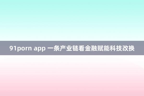 91porn app 一条产业链看金融赋能科技改换