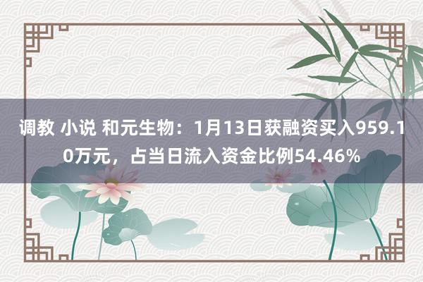 调教 小说 和元生物：1月13日获融资买入959.10万元，占当日流入资金比例54.46%