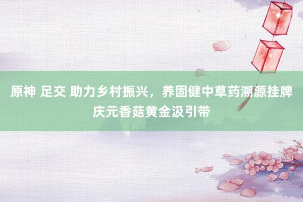 原神 足交 助力乡村振兴，养固健中草药溯源挂牌庆元香菇黄金汲引带