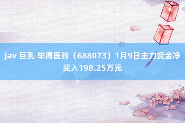 jav 巨乳 毕得医药（688073）1月9日主力资金净买入198.25万元