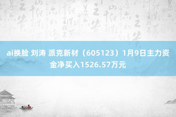 ai换脸 刘涛 派克新材（605123）1月9日主力资金净买入1526.57万元