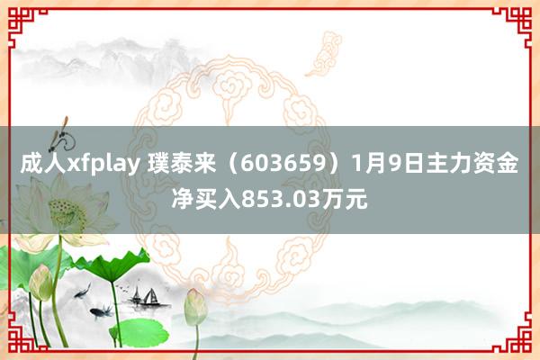 成人xfplay 璞泰来（603659）1月9日主力资金净买入853.03万元