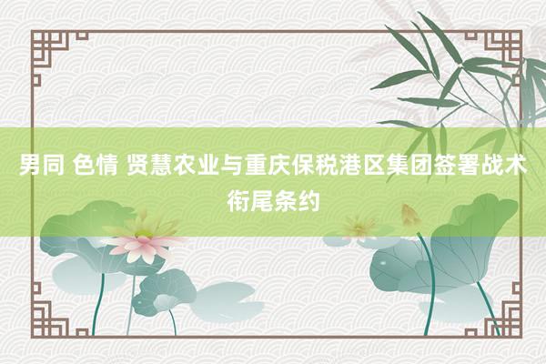 男同 色情 贤慧农业与重庆保税港区集团签署战术衔尾条约