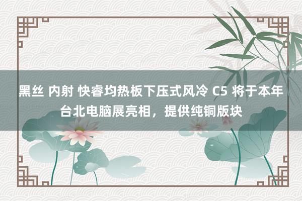 黑丝 内射 快睿均热板下压式风冷 C5 将于本年台北电脑展亮相，提供纯铜版块