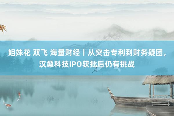 姐妹花 双飞 海量财经丨从突击专利到财务疑团，汉桑科技IPO获批后仍有挑战
