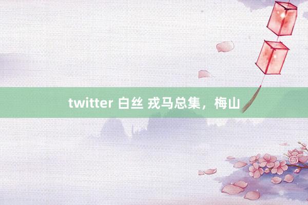 twitter 白丝 戎马总集，梅山