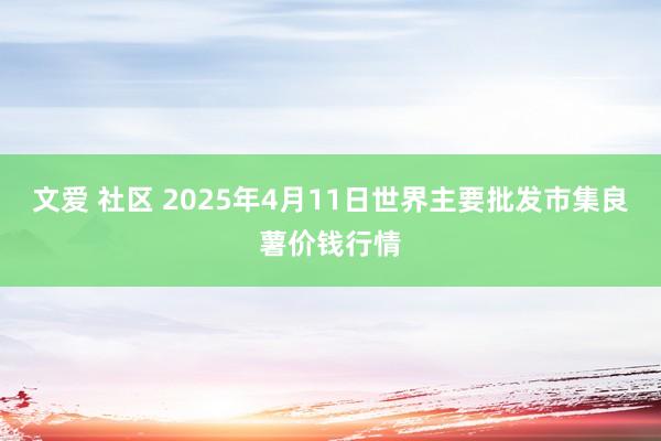 文爱 社区 2025年4月11日世界主要批发市集良薯价钱行情