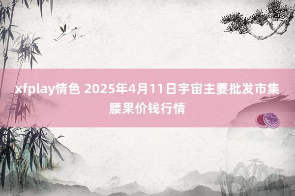 xfplay情色 2025年4月11日宇宙主要批发市集腰果价钱行情