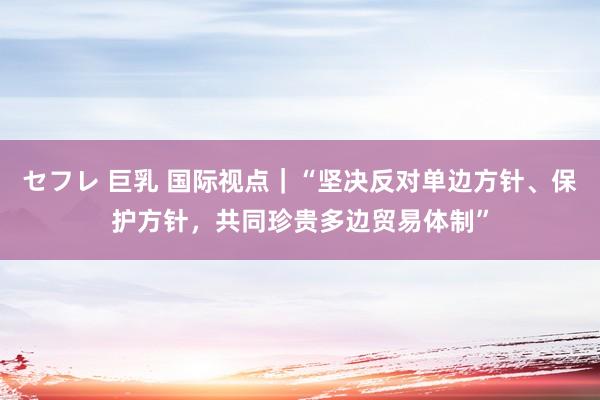 セフレ 巨乳 国际视点｜“坚决反对单边方针、保护方针，共同珍贵多边贸易体制”
