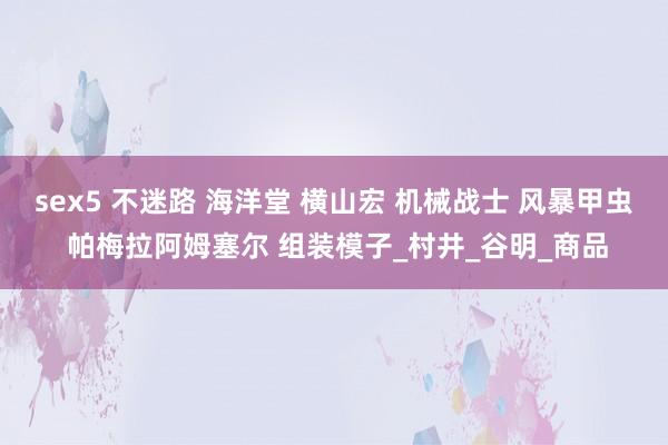 sex5 不迷路 海洋堂 横山宏 机械战士 风暴甲虫 帕梅拉阿姆塞尔 组装模子_村井_谷明_商品