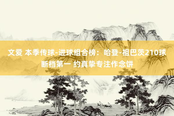 文爱 本季传球-进球组合榜：哈登-祖巴茨210球断档第一 约真挚专注作念饼