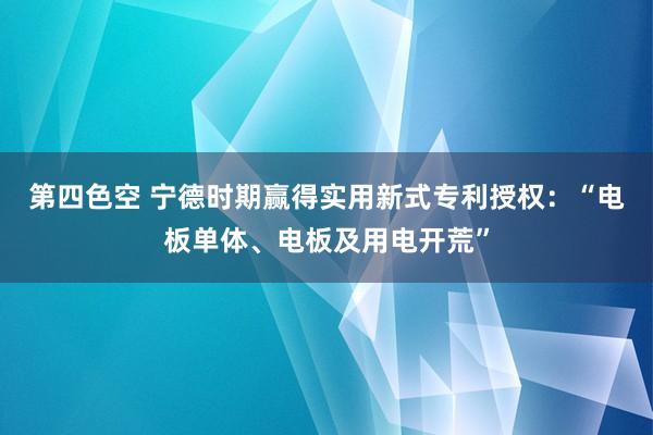 第四色空 宁德时期赢得实用新式专利授权：“电板单体、电板及用电开荒”