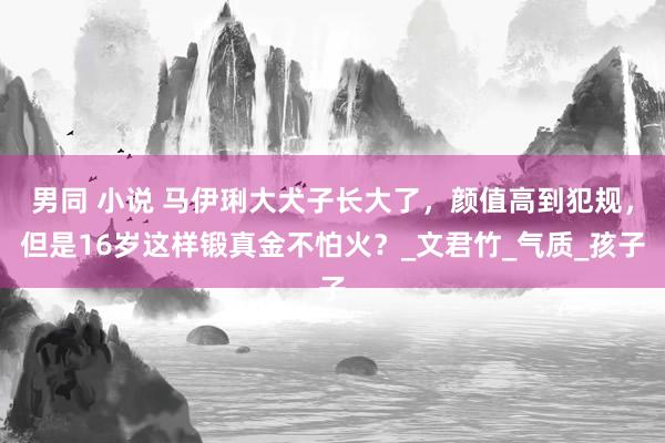 男同 小说 马伊琍大犬子长大了，颜值高到犯规，但是16岁这样锻真金不怕火？_文君竹_气质_孩子