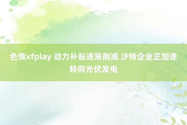 色情xfplay 动力补贴逐渐削减 沙特企业正加速转向光伏发电