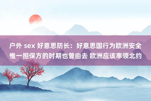 户外 sex 好意思防长：好意思国行为欧洲安全惟一担保方的时期也曾由去 欧洲应该率领北约