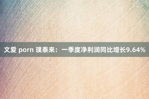 文爱 porn 璞泰来：一季度净利润同比增长9.64%